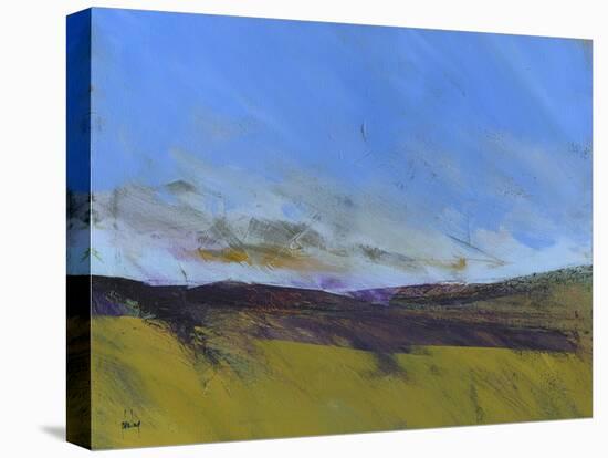 Upland Undulation-Paul Bailey-Stretched Canvas