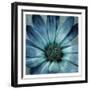 Uplifting Blue Flower Mate-Milli Villa-Framed Art Print