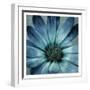 Uplifting Blue Flower Mate-Milli Villa-Framed Art Print