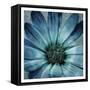 Uplifting Blue Flower Mate-Milli Villa-Framed Stretched Canvas