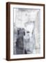Brown Frame