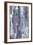 Brown Frame