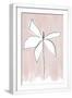 White Frame