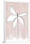 Gramercy White