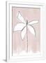 Gramercy White