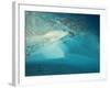 Upolu Cay and Dive Boats, Upolu Cay Nat'l Park, Great Barrier Reef Marine Park, Australia-David Wall-Framed Photographic Print