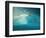 Upolu Cay and Dive Boats, Upolu Cay Nat'l Park, Great Barrier Reef Marine Park, Australia-David Wall-Framed Photographic Print