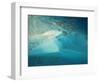 Upolu Cay and Dive Boats, Upolu Cay Nat'l Park, Great Barrier Reef Marine Park, Australia-David Wall-Framed Photographic Print