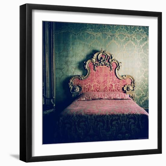 Upon Empire Roots-Lauren Bentley-Framed Photographic Print