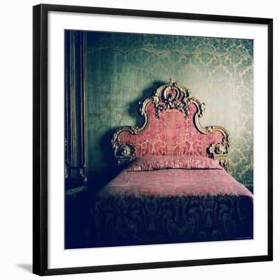 Upon Empire Roots-Lauren Bentley-Framed Photographic Print