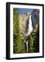 Upper and Lower Yosemite Falls, Merced River, Yosemite NP, California-Michel Hersen-Framed Photographic Print