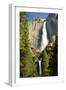 Upper and Lower Yosemite Falls, Merced River, Yosemite NP, California-Michel Hersen-Framed Photographic Print