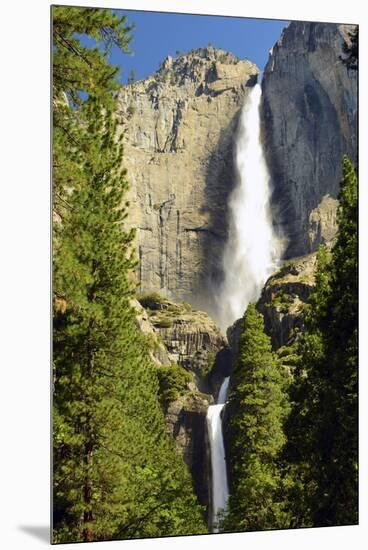 Upper and Lower Yosemite Falls, Merced River, Yosemite NP, California-Michel Hersen-Mounted Premium Photographic Print