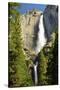 Upper and Lower Yosemite Falls, Merced River, Yosemite NP, California-Michel Hersen-Stretched Canvas