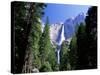 Upper and Lower Yosemite Falls, Swollen by Summer Snowmelt, Yosemite National Park, California-Ruth Tomlinson-Stretched Canvas