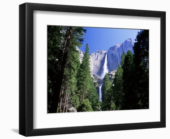 Upper and Lower Yosemite Falls, Swollen by Summer Snowmelt, Yosemite National Park, California-Ruth Tomlinson-Framed Photographic Print