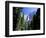 Upper and Lower Yosemite Falls, Swollen by Summer Snowmelt, Yosemite National Park, California-Ruth Tomlinson-Framed Photographic Print