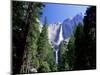 Upper and Lower Yosemite Falls, Swollen by Summer Snowmelt, Yosemite National Park, California-Ruth Tomlinson-Mounted Photographic Print