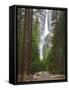 Upper and Lower Yosemite Falls. Yosemite National Park, CA-Jamie & Judy Wild-Framed Stretched Canvas