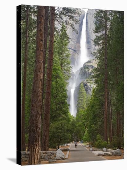 Upper and Lower Yosemite Falls. Yosemite National Park, CA-Jamie & Judy Wild-Stretched Canvas