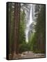 Upper and Lower Yosemite Falls. Yosemite National Park, CA-Jamie & Judy Wild-Framed Stretched Canvas