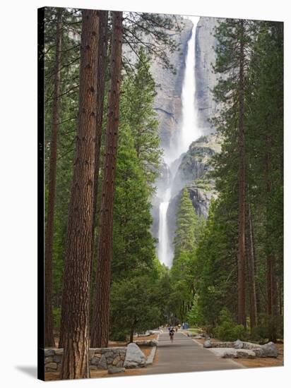 Upper and Lower Yosemite Falls. Yosemite National Park, CA-Jamie & Judy Wild-Stretched Canvas