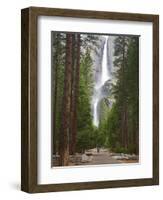 Upper and Lower Yosemite Falls. Yosemite National Park, CA-Jamie & Judy Wild-Framed Photographic Print