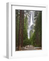 Upper and Lower Yosemite Falls. Yosemite National Park, CA-Jamie & Judy Wild-Framed Photographic Print