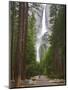 Upper and Lower Yosemite Falls. Yosemite National Park, CA-Jamie & Judy Wild-Mounted Photographic Print