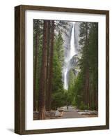 Upper and Lower Yosemite Falls. Yosemite National Park, CA-Jamie & Judy Wild-Framed Photographic Print