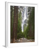 Upper and Lower Yosemite Falls. Yosemite National Park, CA-Jamie & Judy Wild-Framed Photographic Print