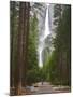 Upper and Lower Yosemite Falls. Yosemite National Park, CA-Jamie & Judy Wild-Mounted Photographic Print