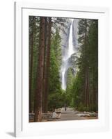 Upper and Lower Yosemite Falls. Yosemite National Park, CA-Jamie & Judy Wild-Framed Photographic Print