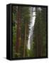 Upper and Lower Yosemite Falls. Yosemite National Park, CA-Jamie & Judy Wild-Framed Stretched Canvas