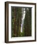 Upper and Lower Yosemite Falls. Yosemite National Park, CA-Jamie & Judy Wild-Framed Photographic Print