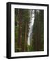 Upper and Lower Yosemite Falls. Yosemite National Park, CA-Jamie & Judy Wild-Framed Photographic Print