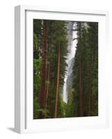 Upper and Lower Yosemite Falls. Yosemite National Park, CA-Jamie & Judy Wild-Framed Photographic Print