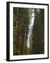 Upper and Lower Yosemite Falls. Yosemite National Park, CA-Jamie & Judy Wild-Framed Photographic Print