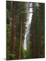 Upper and Lower Yosemite Falls. Yosemite National Park, CA-Jamie & Judy Wild-Mounted Photographic Print
