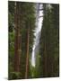 Upper and Lower Yosemite Falls. Yosemite National Park, CA-Jamie & Judy Wild-Mounted Photographic Print