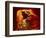 Upper Antelope Canyon, Page, Arizona, USA-Michel Hersen-Framed Photographic Print