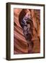 Upper Antelope I-Larry Malvin-Framed Photographic Print