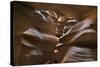 Upper Antelope IV-Larry Malvin-Stretched Canvas