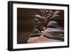 Upper Antelope V-Larry Malvin-Framed Photographic Print