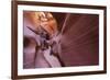 Upper Anthelope Canyon, Navajo Tribal Park, Page, Arizona, Usa-Rainer Mirau-Framed Photographic Print