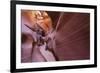 Upper Anthelope Canyon, Navajo Tribal Park, Page, Arizona, Usa-Rainer Mirau-Framed Photographic Print