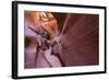 Upper Anthelope Canyon, Navajo Tribal Park, Page, Arizona, Usa-Rainer Mirau-Framed Photographic Print