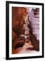 Upper Anthelope Canyon, Navajo Tribal Park, Page, Arizona, Usa-Rainer Mirau-Framed Photographic Print