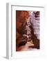 Upper Anthelope Canyon, Navajo Tribal Park, Page, Arizona, Usa-Rainer Mirau-Framed Photographic Print