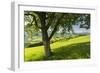 Upper Austrian Alpine Foothills Close Maria Neustift, Austria-Rainer Mirau-Framed Photographic Print